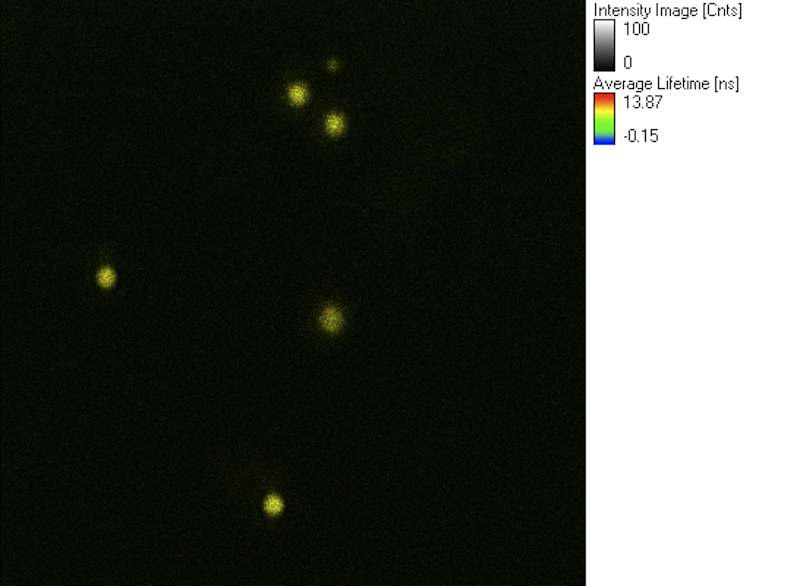 100210_04_region_40mhz.png 100210_04_region_40mhz.png