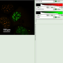 calculate_ratiometric_fret-images_with_the_fret-image-script_image_8.png