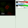 calculate_ratiometric_fret-images_with_the_fret-image-script_image_9.png