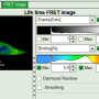 flim-fret-1expd_bindingimage.png