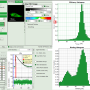 flim-fret-1expd_calcfret_response.png