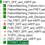 flim-fret-1expd_pqres.png