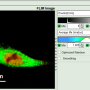 flim-fret-1expd_roi_from_thresh_2_v2.png