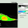 flim-fret-1expd_roi_from_thresh_2_v3.png