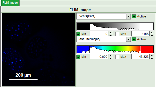 flim-fret-calculation_for_multi-exponential_donors_image_28.png