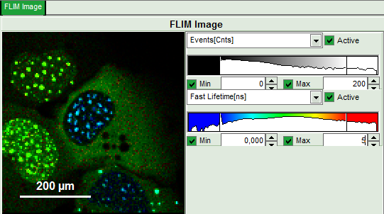 flim-fret-calculation_for_multi-exponential_donors_image_29.png