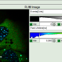 flim-fret-calculation_for_multi-exponential_donors_image_29.png