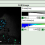 flim-fret-calculation_for_multi-exponential_donors_image_31.png