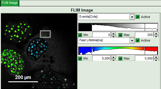 flim-fret-calculation_for_multi-exponential_donors_image_32.png