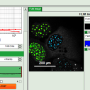 flim-fret-calculation_for_multi-exponential_donors_image_41.png