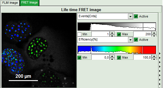 flim-fret-calculation_for_multi-exponential_donors_image_43.png