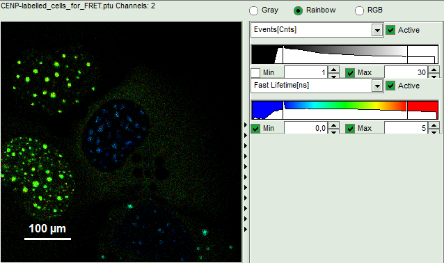 flim-fret-calculation_for_multi-exponential_donors_image_8.png