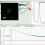 flim-fret-multiexpd_analysis_flim.png