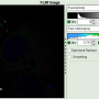 flim-fret-multiexpd_calcfastflim_response.png