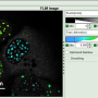 flim-fret-multiexpd_thesh_response.png