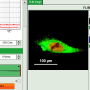 flim-fret_calculation_for_single_exponential_donors_image_12.png