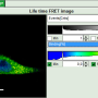 flim-fret_calculation_for_single_exponential_donors_image_14.png