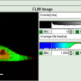 flim-fret_calculation_for_single_exponential_donors_image_6.png