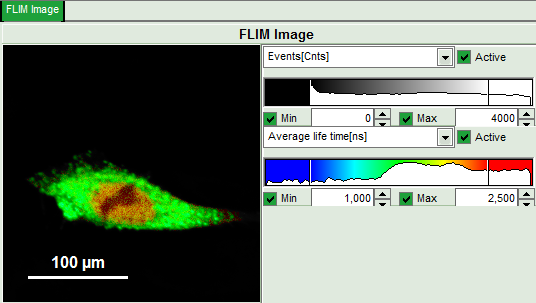 flim-fret_calculation_for_single_exponential_donors_image_8.png
