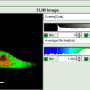 flim-fret_calculation_for_single_exponential_donors_image_8.png