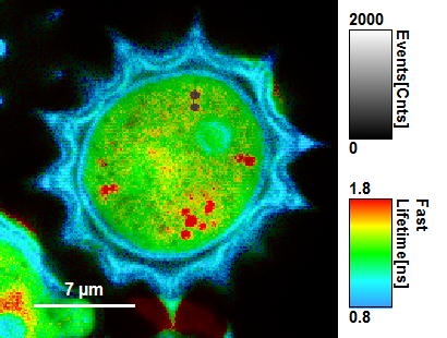 roi-several_3.png roi-several_3.png