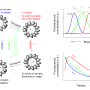 solvation_dynamics.png